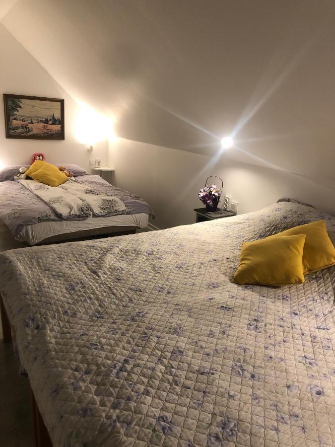 Apartments Dajcic 瓦拉日丁托普利采 外观 照片